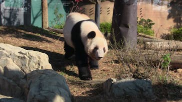 恩賜上野動物園に投稿された画像（2025/12/24）