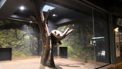 恩賜上野動物園に投稿された画像（2025/12/24）