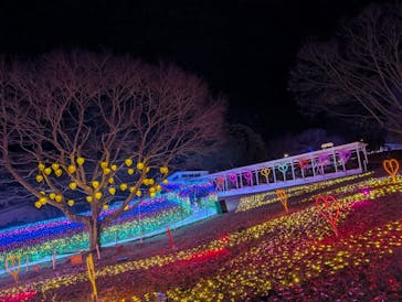 みろくの里に投稿された画像（2025/12/24）