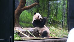 恩賜上野動物園に投稿された画像（2025/12/24）