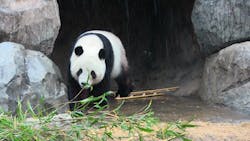 恩賜上野動物園に投稿された画像（2025/12/24）