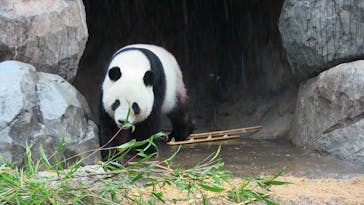 恩賜上野動物園に投稿された画像（2025/12/24）