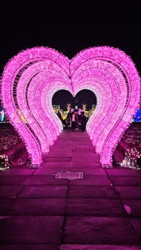 神戸イルミナージュに投稿された画像（2025/12/24）