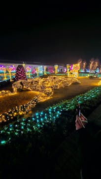 神戸イルミナージュに投稿された画像（2025/12/24）