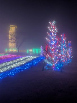 マザー牧場に投稿された画像（2025/12/24）