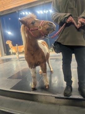 マザー牧場に投稿された画像（2025/12/24）