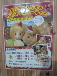 マザー牧場に投稿された画像（2025/12/24）