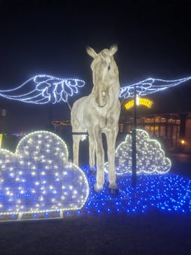 マザー牧場に投稿された画像（2025/12/24）