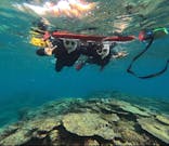  マリンショップHAPPYに投稿された画像（2025/12/24）