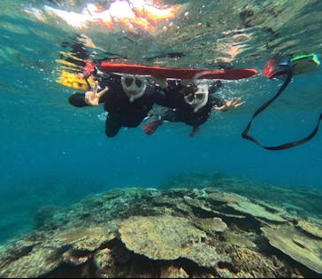  マリンショップHAPPYに投稿された画像（2025/12/24）