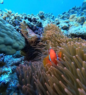  マリンショップHAPPYに投稿された画像（2025/12/24）