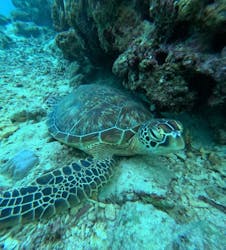  マリンショップHAPPYに投稿された画像（2025/12/24）