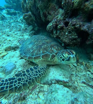  マリンショップHAPPYに投稿された画像（2025/12/24）