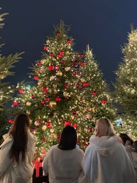 Christmas Market in 横浜赤レンガ倉庫 2025に投稿された画像（2025/12/24）