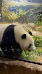 恩賜上野動物園に投稿された画像（2025/12/24）