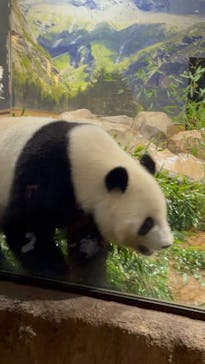 恩賜上野動物園に投稿された画像（2025/12/24）