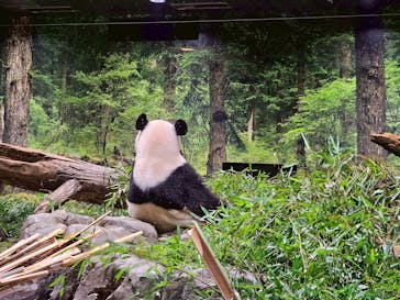 恩賜上野動物園に投稿された画像（2025/12/24）