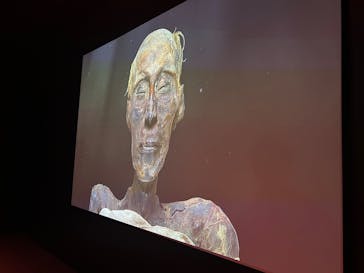 ACN ラムセス大王展 ファラオたちの黄金に投稿された画像（2025/12/24）