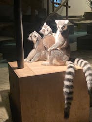 NIFREL（ニフレル）に投稿された画像（2025/12/24）