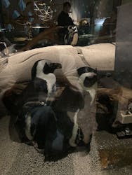 NIFREL（ニフレル）に投稿された画像（2025/12/24）