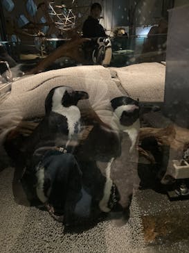 NIFREL（ニフレル）に投稿された画像（2025/12/24）