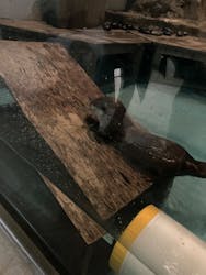 NIFREL（ニフレル）に投稿された画像（2025/12/24）