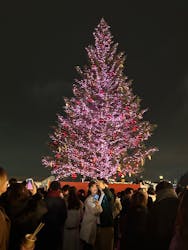 Christmas Market in 横浜赤レンガ倉庫 2025に投稿された画像（2025/12/24）