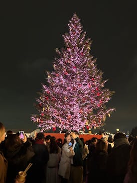 Christmas Market in 横浜赤レンガ倉庫 2025に投稿された画像（2025/12/24）