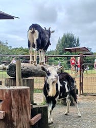 ビオスの丘に投稿された画像（2025/12/24）