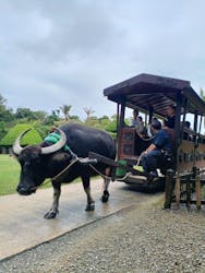 ビオスの丘に投稿された画像（2025/12/24）