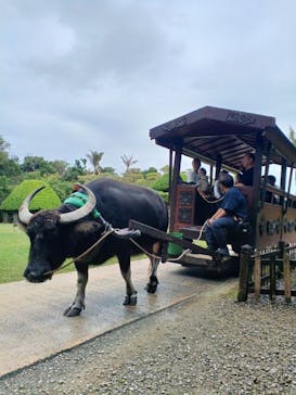 ビオスの丘に投稿された画像（2025/12/24）