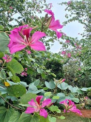 ビオスの丘に投稿された画像（2025/12/24）