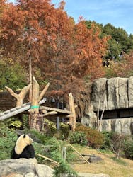 恩賜上野動物園に投稿された画像（2025/12/24）