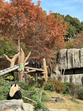 恩賜上野動物園に投稿された画像（2025/12/24）