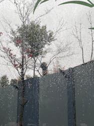 恩賜上野動物園に投稿された画像（2025/12/24）