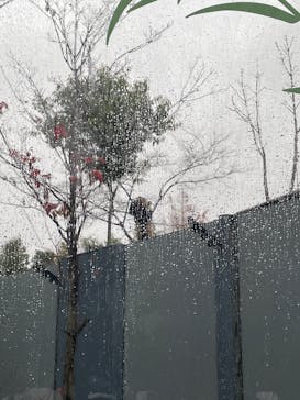 恩賜上野動物園に投稿された画像（2025/12/24）