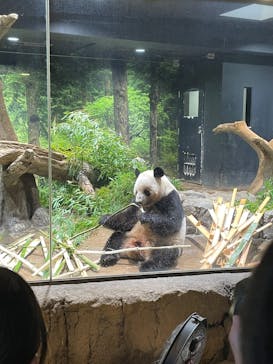 恩賜上野動物園に投稿された画像（2025/12/24）