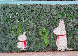 ムーミンバレーパークに投稿された画像（2025/12/24）