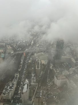 ハルカス300(展望台)に投稿された画像（2025/12/24）