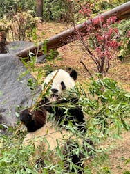 恩賜上野動物園に投稿された画像（2025/12/24）