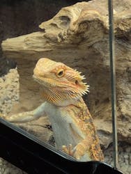 NARA IKIMONO MUSEUMに投稿された画像（2025/12/24）