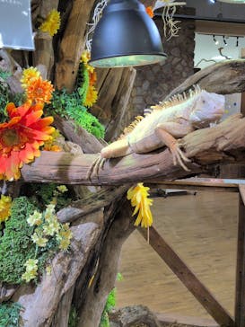 NARA IKIMONO MUSEUMに投稿された画像（2025/12/24）