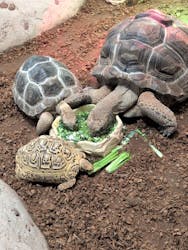 NARA IKIMONO MUSEUMに投稿された画像（2025/12/24）