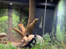 恩賜上野動物園に投稿された画像（2025/12/24）