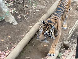 恩賜上野動物園に投稿された画像（2025/12/24）