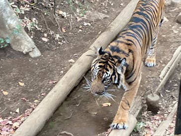 恩賜上野動物園に投稿された画像（2025/12/24）