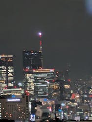 東京タワーに投稿された画像（2025/12/24）