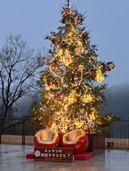 ムーミンバレーパークに投稿された画像（2025/12/25）