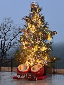 ムーミンバレーパークに投稿された画像（2025/12/25）