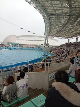 名古屋港水族館に投稿された画像（2025/12/25）